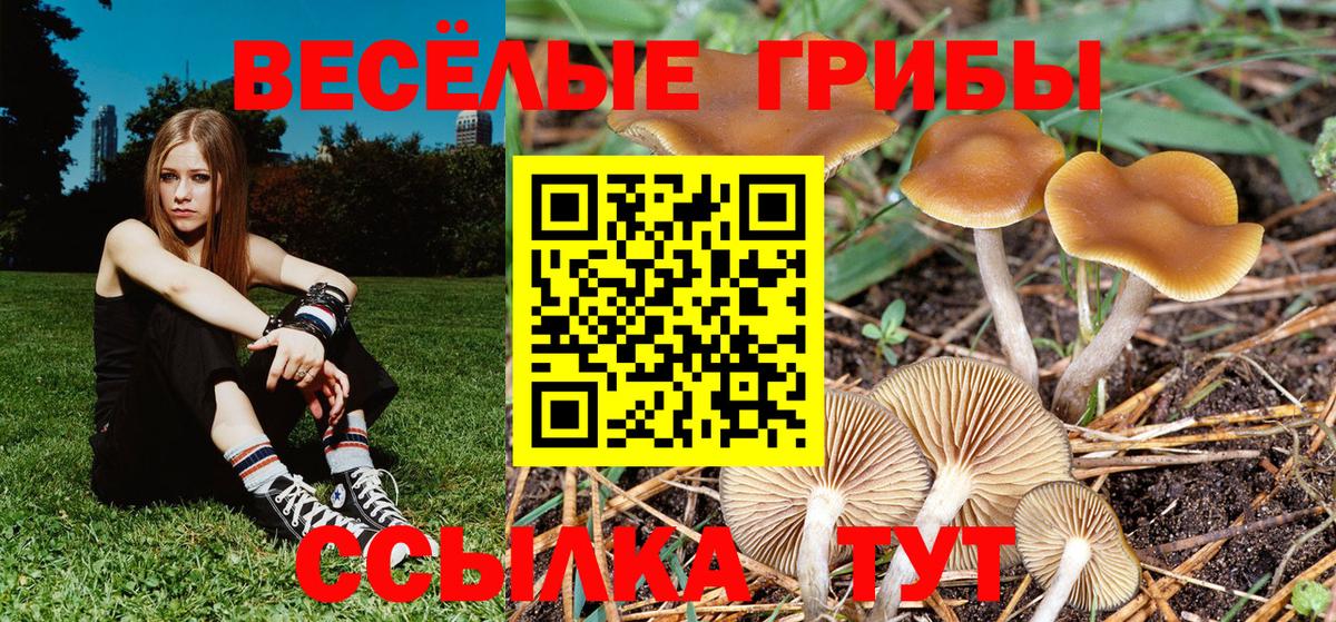 Псилоцибиновые грибы ЛСД Верхняя Салда
